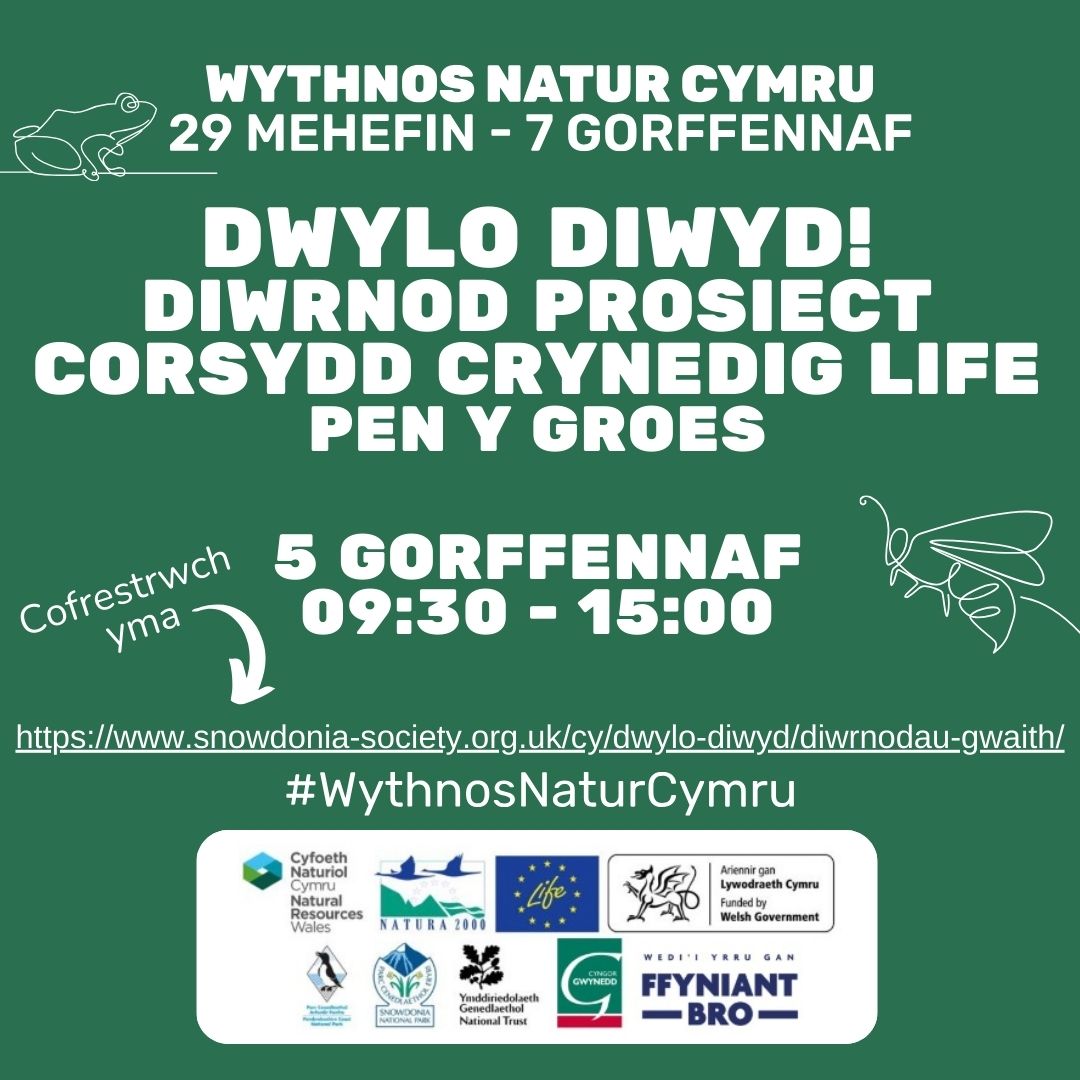 Dwylo Diwyd Gwynedd